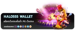 halo555 Wallet